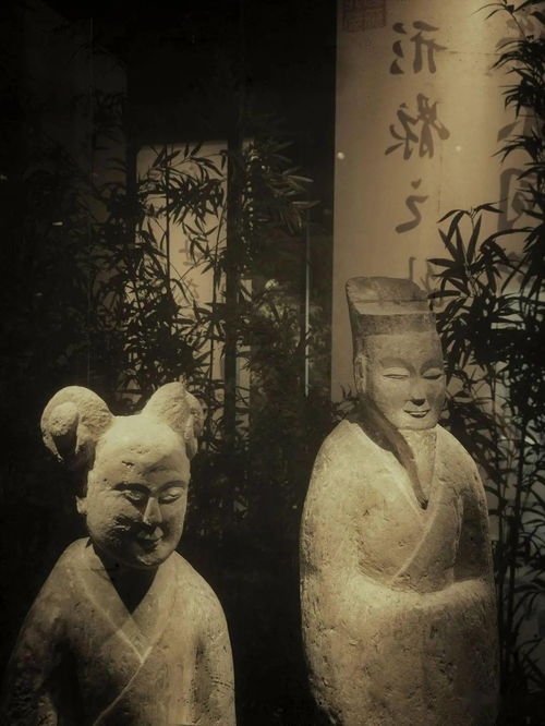 光影詩篇，竹韻新生——南京六朝博物館的建筑美學與鋼筋材料的現代演繹